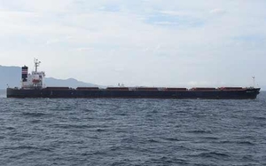 NYK�ƻ��ٳ���һ��ɢ����