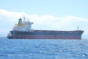 DianaShipping̯ϴ¡550Ԫ
