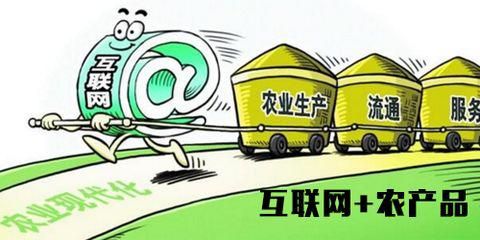 ���ر굥Ʒ����ƽ�����ũ��Ʒ���̷�չ����