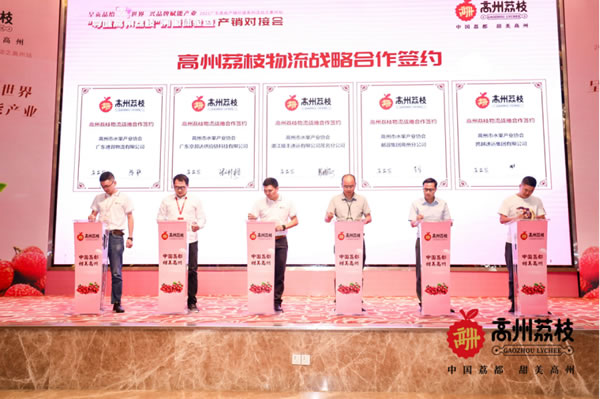��������֦��Ʒ�ƻ�ս���£��°�������������������֦������ȫ��