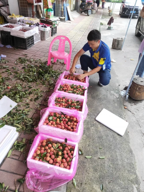 服務(wù)零間隔 德邦快遞駐扎果園為從化荔枝提供高效運(yùn)輸
-迪拜國(guó)際快遞