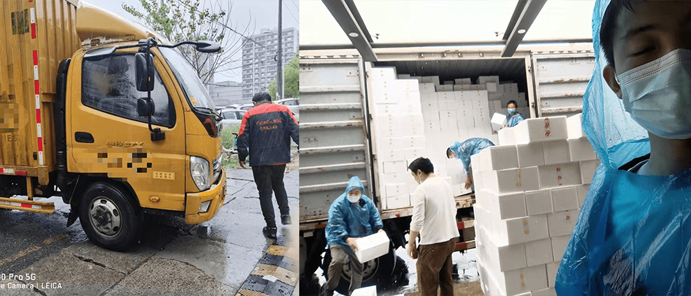 在这个足不出户的春日里
-空运到迪拜